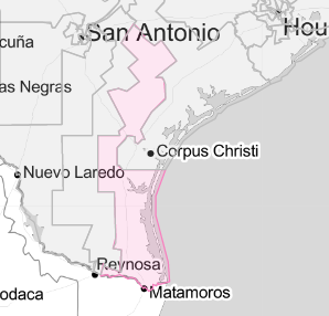 Texas 34th Congressional District