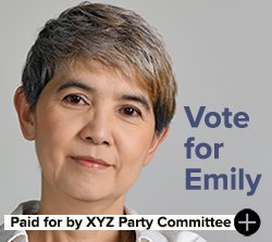 Paid for by the XYZ Party Committee and authorized by Emily George-Adams for Congress