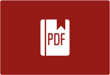 Icon representing a large PDF file
